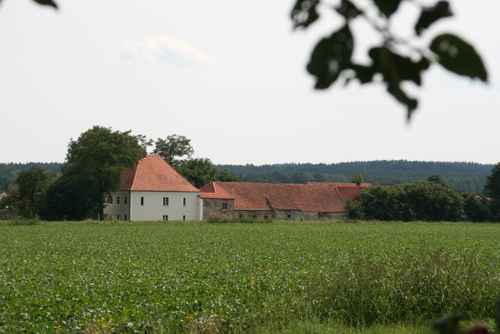 Historischer Pfarrhof Niederleierndorf Langquaid Habitación foto